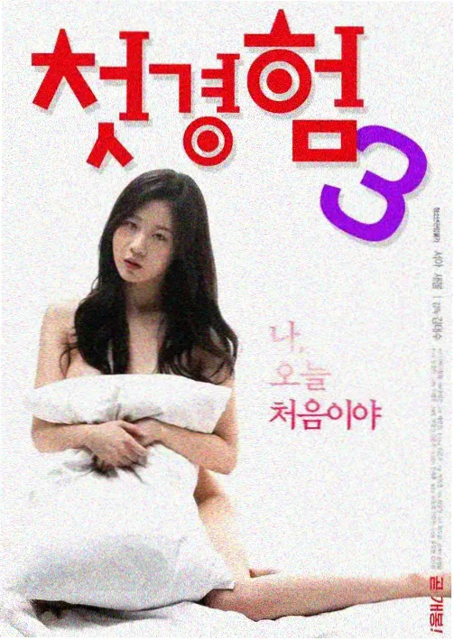 妻子出轨电视剧《婚姻的裂缝》海报